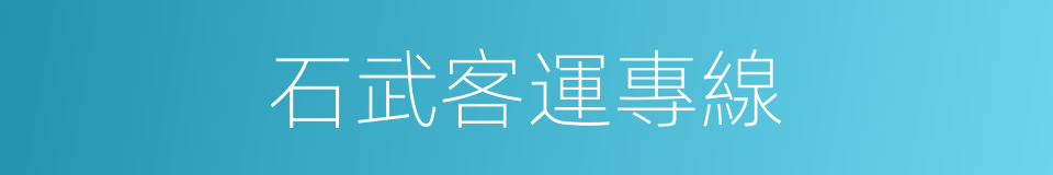 石武客運專線的同義詞