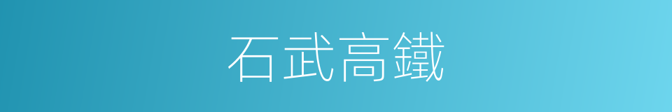 石武高鐵的同義詞