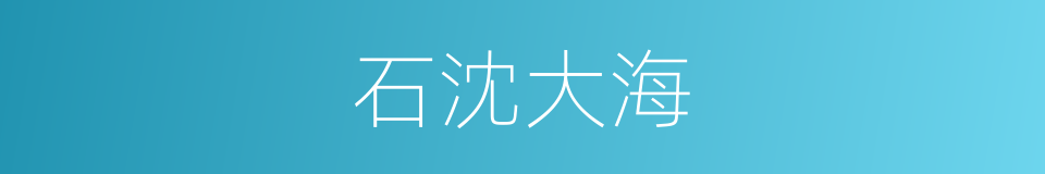 石沈大海的意思