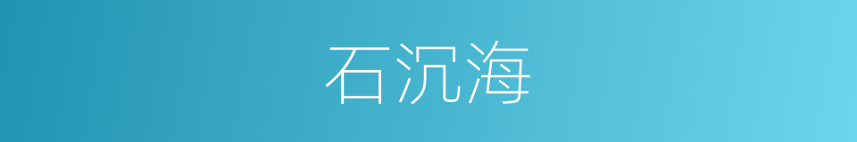 石沉海的同义词