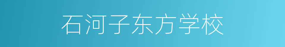 石河子东方学校的同义词