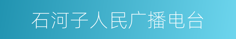 石河子人民广播电台的同义词