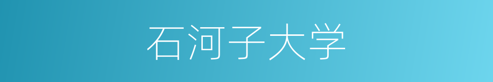 石河子大学的同义词