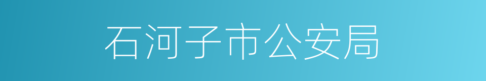 石河子市公安局的同义词