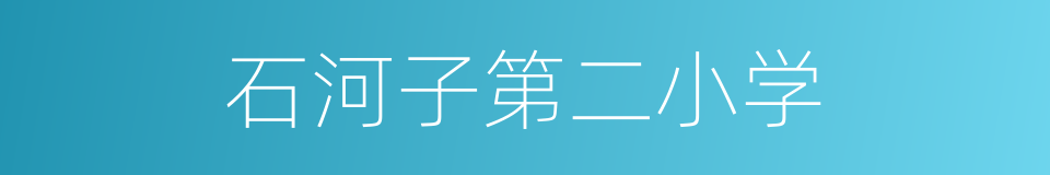 石河子第二小学的同义词