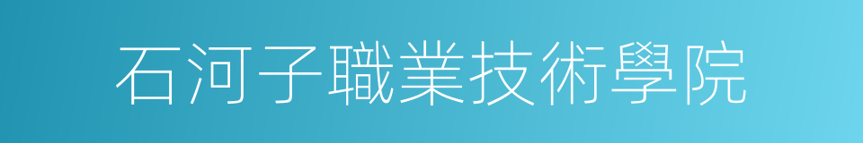 石河子職業技術學院的同義詞