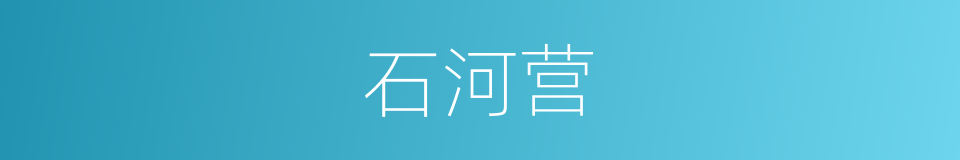 石河营的同义词