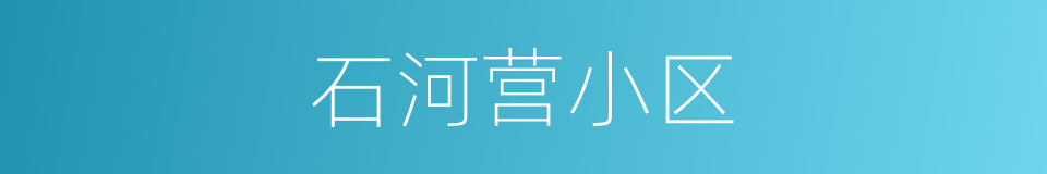 石河营小区的同义词