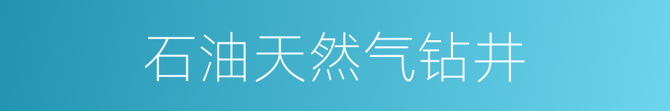 石油天然气钻井的同义词