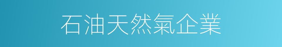 石油天然氣企業的同義詞