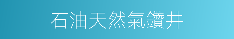 石油天然氣鑽井的同義詞