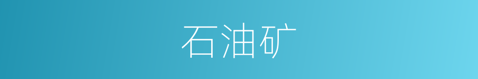 石油矿的同义词