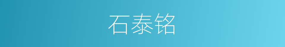 石泰铭的同义词