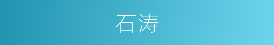 石涛的意思