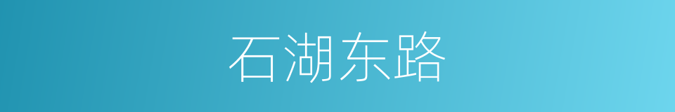 石湖东路的同义词