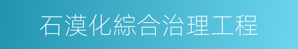 石漠化綜合治理工程的同義詞