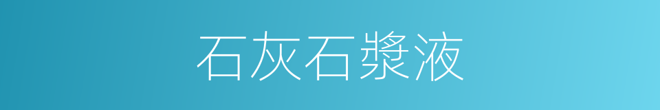 石灰石漿液的同義詞