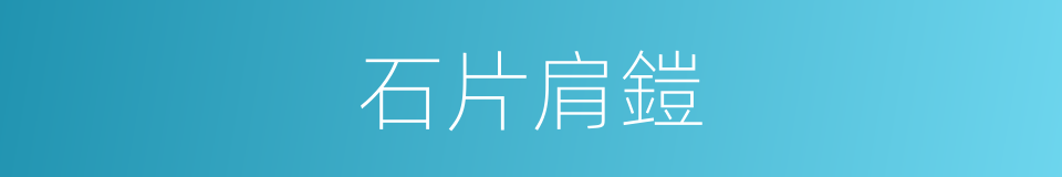石片肩鎧的同義詞