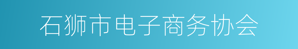 石狮市电子商务协会的同义词