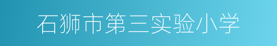 石狮市第三实验小学的同义词