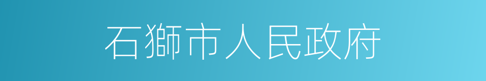 石獅市人民政府的同義詞