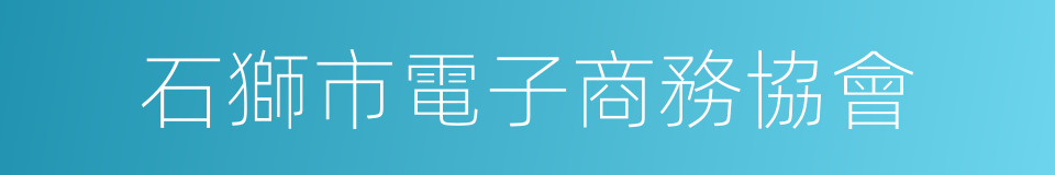 石獅市電子商務協會的同義詞