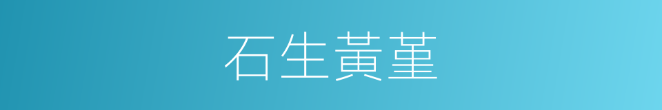 石生黃堇的同義詞