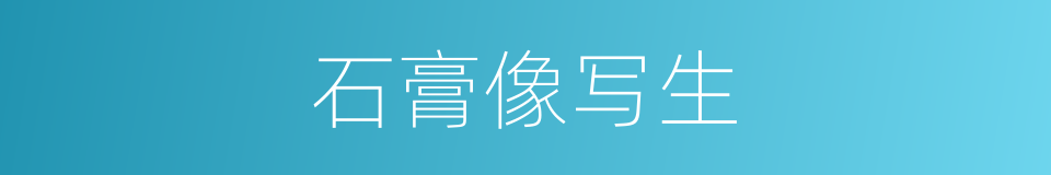 石膏像写生的同义词