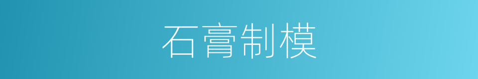 石膏制模的同义词