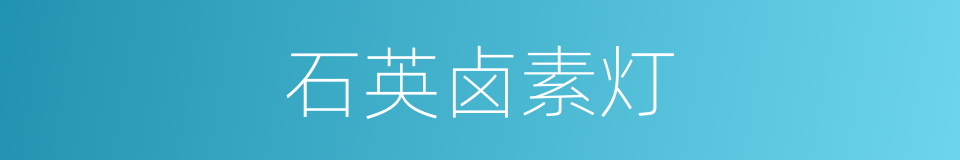 石英卤素灯的同义词