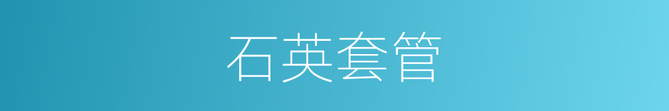 石英套管的同义词