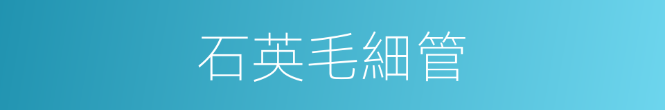 石英毛細管的同義詞