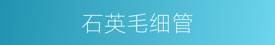 石英毛细管的同义词