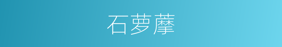 石萝藦的同义词