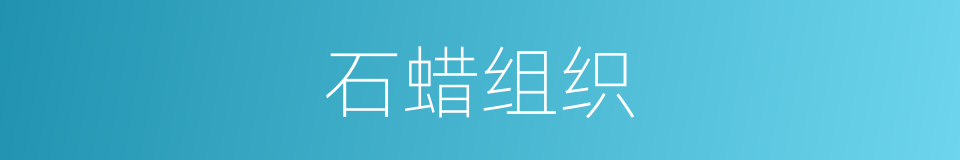 石蜡组织的同义词