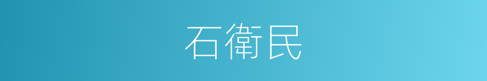 石衛民的同義詞