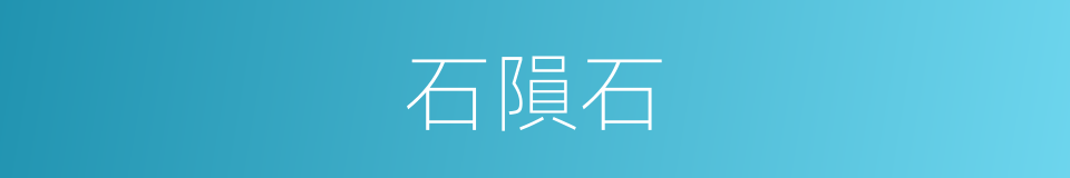 石隕石的同義詞