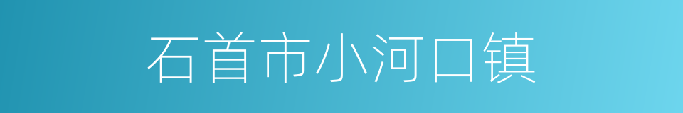 石首市小河口镇的同义词