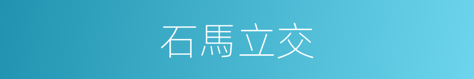 石馬立交的同義詞