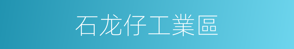 石龙仔工業區的同義詞