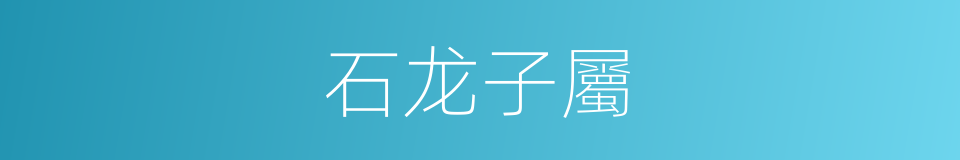 石龙子屬的同義詞