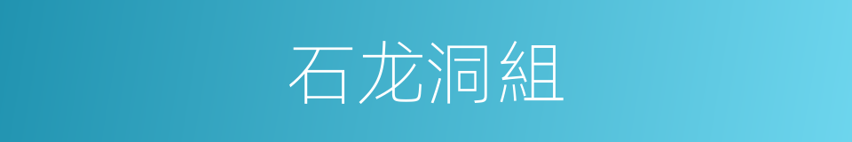 石龙洞組的同義詞