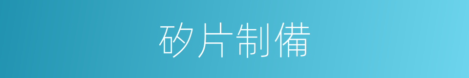 矽片制備的同義詞