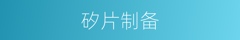 矽片制备的同義詞