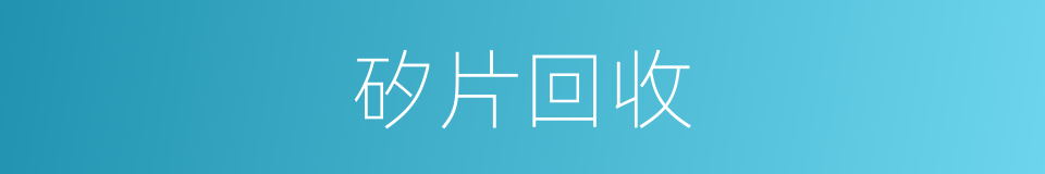 矽片回收的同義詞