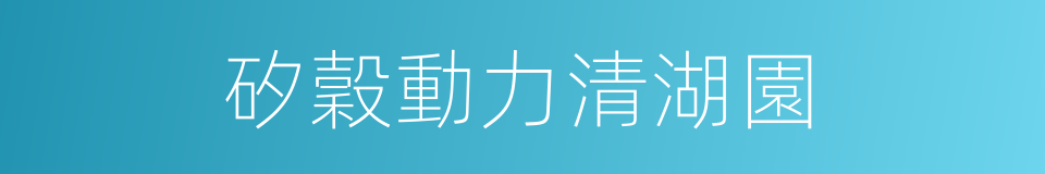 矽穀動力清湖園的同義詞