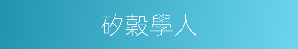 矽穀學人的同義詞