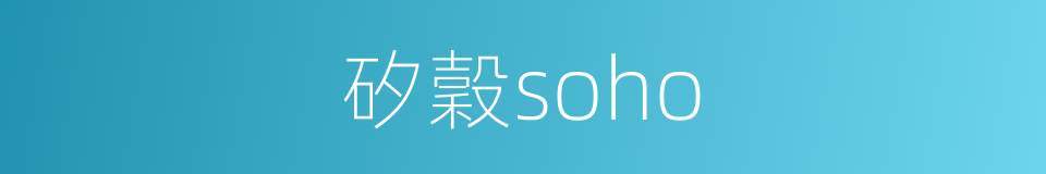 矽穀soho的同義詞