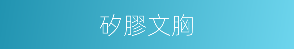 矽膠文胸的同義詞