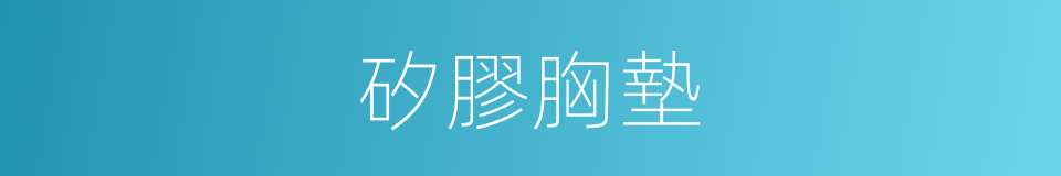 矽膠胸墊的同義詞